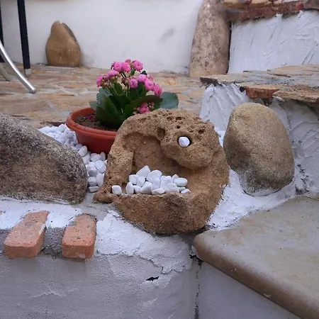 Bed & Breakfast 