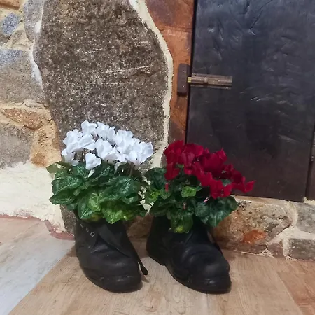 Santu Giuvanni Un Tuffo Nel Passato