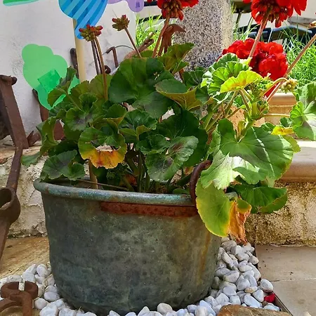 Santu Giuvanni Un Tuffo Nel Passato Bed & Breakfast