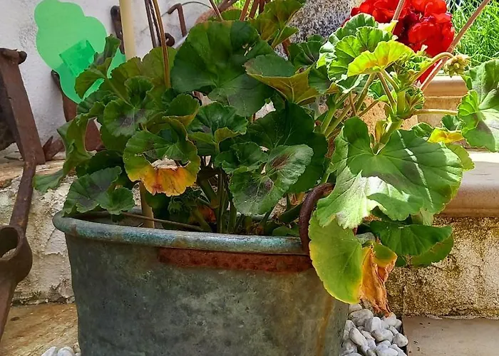 Santu Giuvanni Bed and breakfast