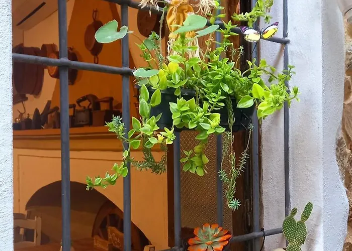 Bed and breakfast Santu Giuvanni Fonni